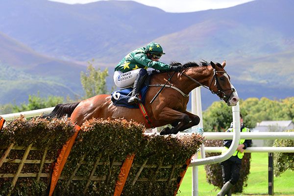 Where's My Jet jumps the last under Paul Townend