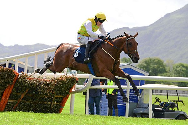 Swelltime clears the last under Carl Millar