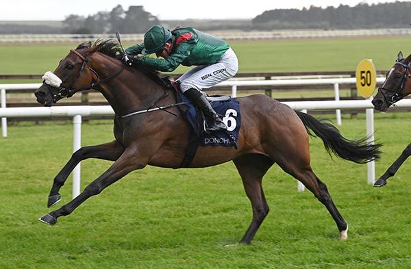 Masoun is ridden out by Ben Coen