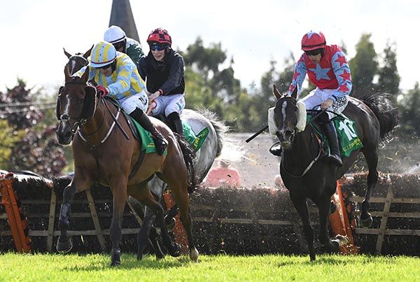 Routine Excellence and Keith Donoghue lead their rivals home 