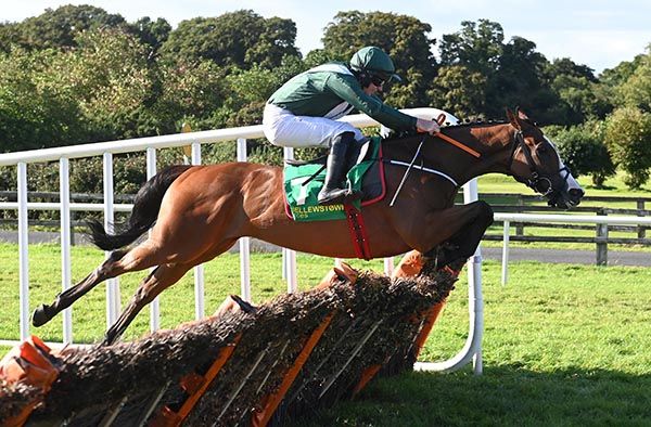 Leading Lion clears the last under Jack Kennedy 