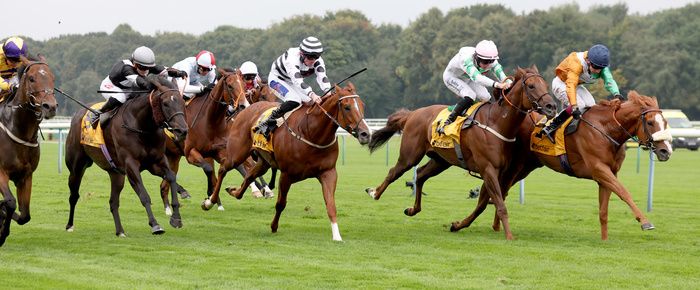 Shagraan (noseband)