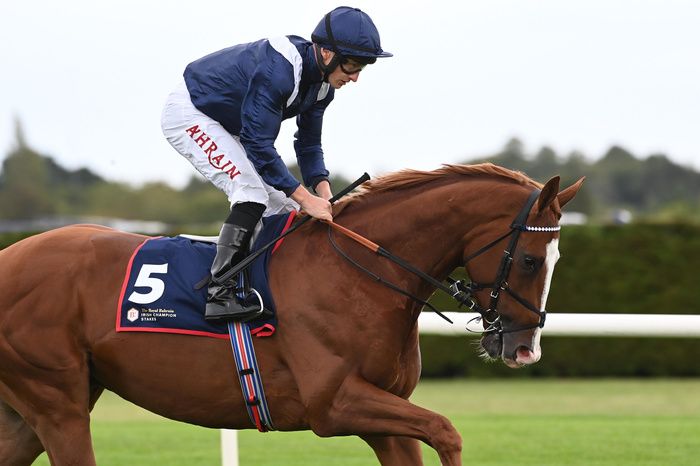 Economics and Tom Marquand 