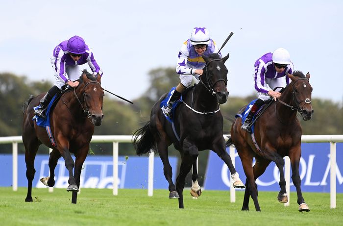 Green Impact (centre) and Shane Foley 