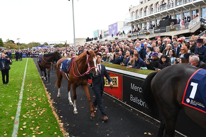 Leopardstown parade ring