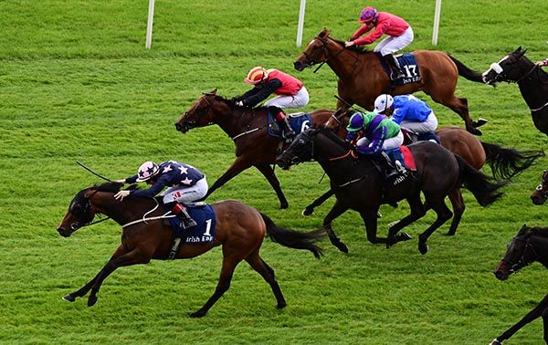 Curragh 15-9-24  My Mate Alfie & Colin Keane win the Bold Lad Sprint Handicap(Photo HEALY RACING)