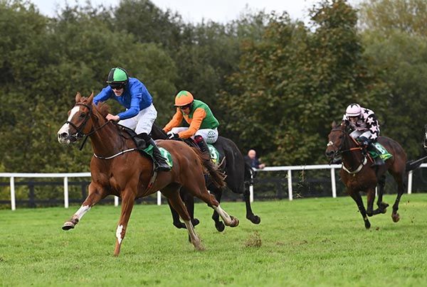 Windbeneathmywings (left) 