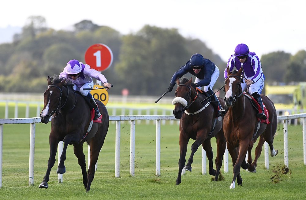 Cork 1-October-2024Wemighttakedlongway and Dylan Browne McMonagle win for trainer Joseph O'Brien from Minnie Hauk.Healy Racing