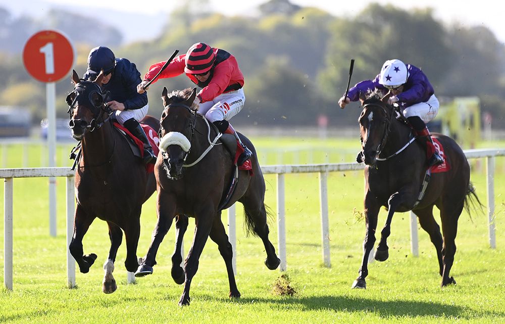 Mutasarref and Colin Keane 