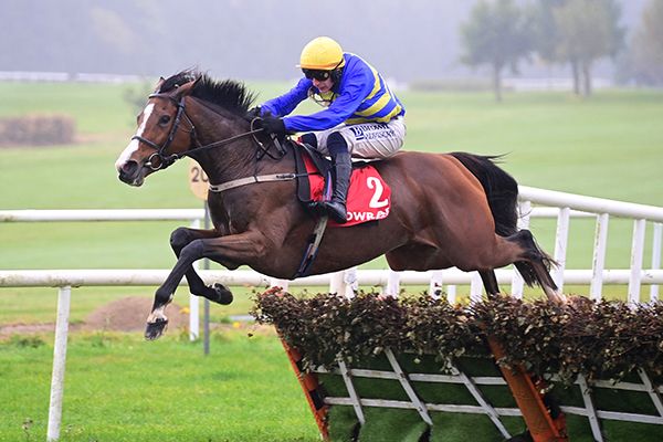 Lot Of Joy and Paul Townend