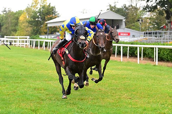 Finnians Row and Patrick O'Brien 