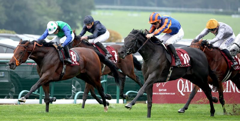 Rashabar is expected to come on from Newbury return on Saturday