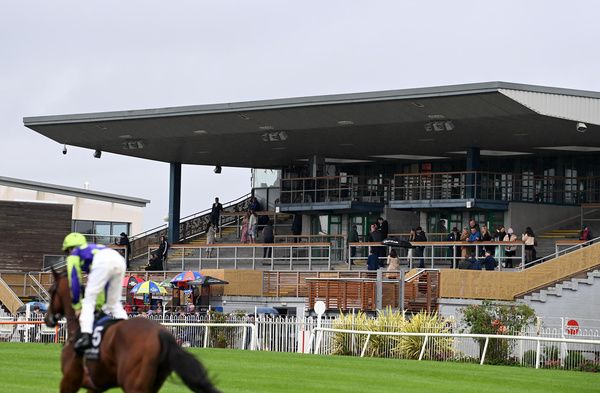 Down Royal and Wexford both race on Friday afternoon. 