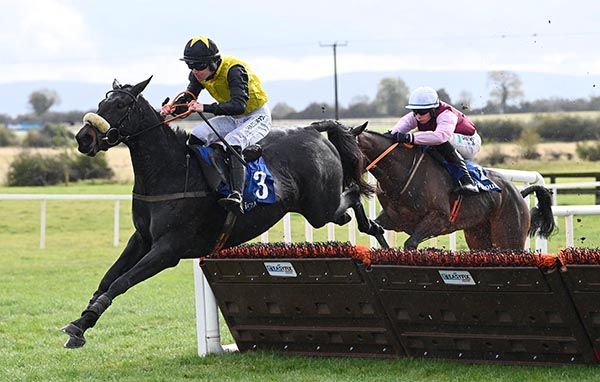 Born Bright and Paddy O'Brien 