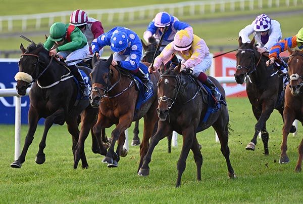 Pachmena (pink and yellow) 