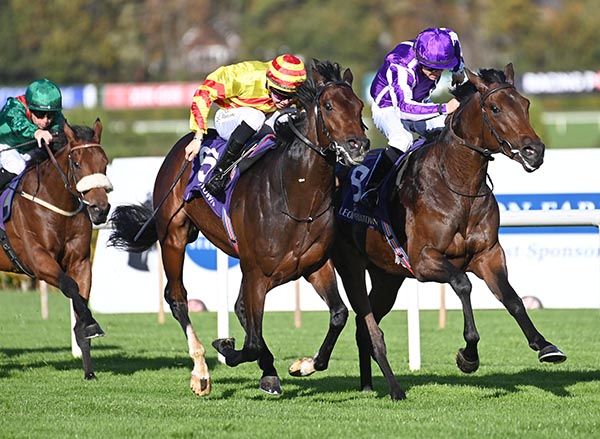 Serious Contender (Wayne Lordan, purple and white) just edge out Kilcrea Rock (Dylan Browne McMonagle)