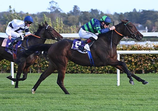 Finsceal Luas and Declan McDonogh 