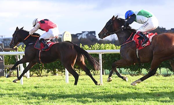 Rhythm King and Gavin Ryan lead Racing Royalty