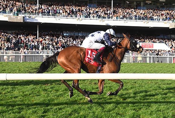 Fairy Wings wins in front of the packed stands at Galway's student race day 