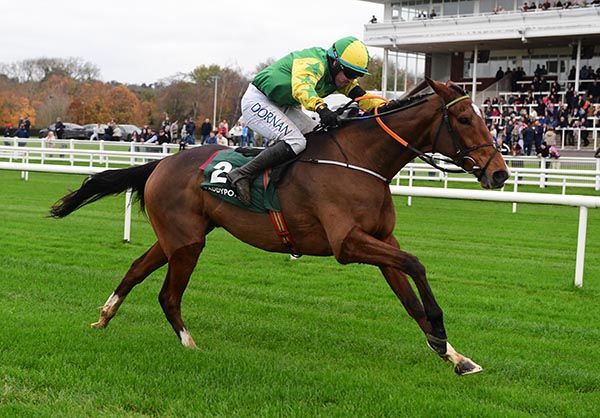 Gorgeous Tom  is market leader for feature race. 