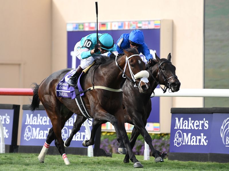 Cinderella's Dream has a leading chance of Group 1 success. 