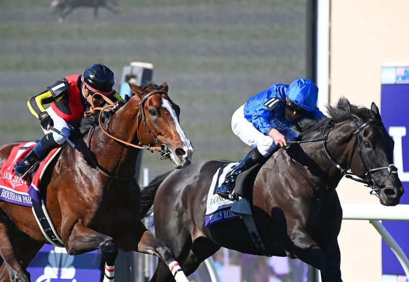 Rebel's Romance (right)