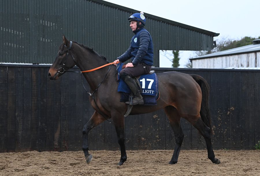 Wingmen at morning exercise 