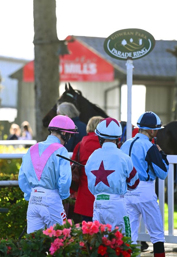 Gowran Park 21-10-24 The scene at the county Kilkenny venue(Healy Racing)