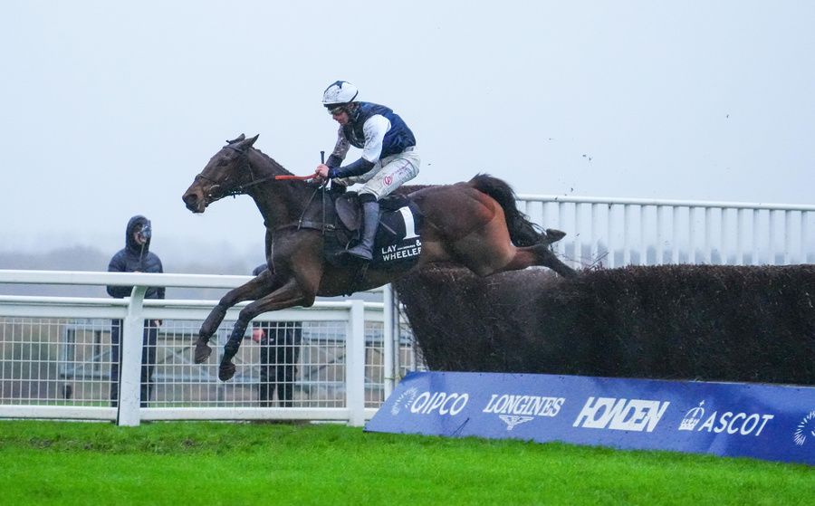 Ascot 23 November 2024 Martator and Ned Fox win for trainer Venetia Williams 