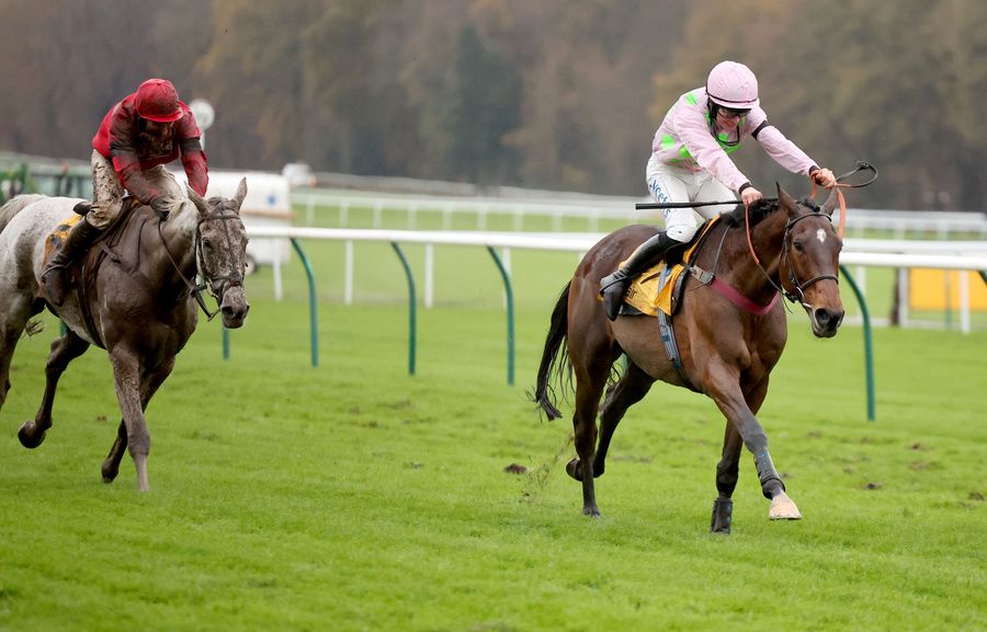 Royal Pagaille (right)