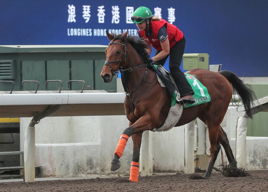 Dubai Honour 