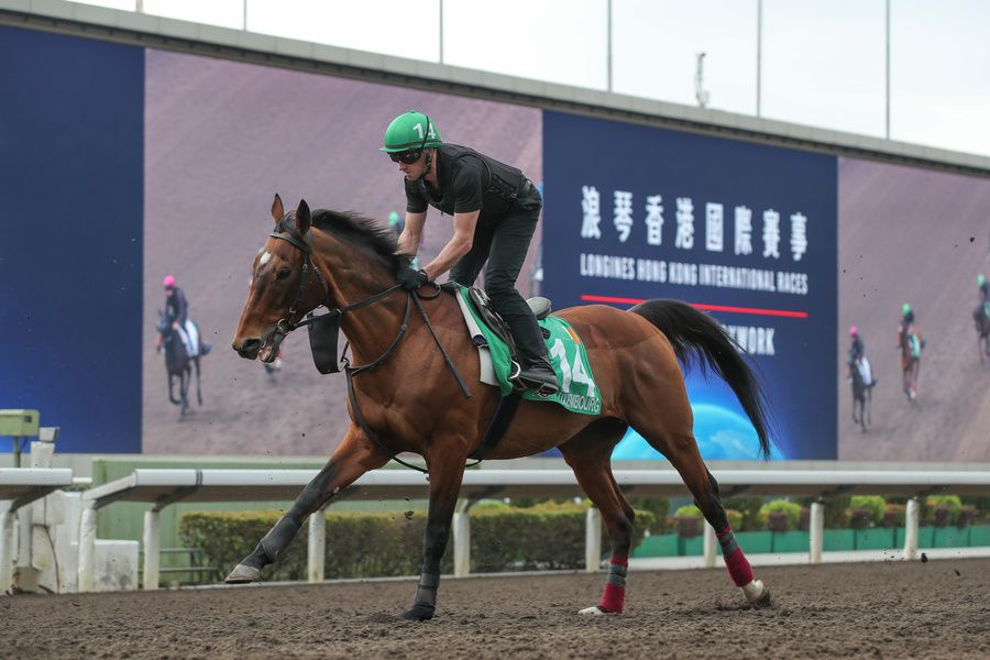 Luxembourg and Pa Murphy at morning exercise in Sha Tin