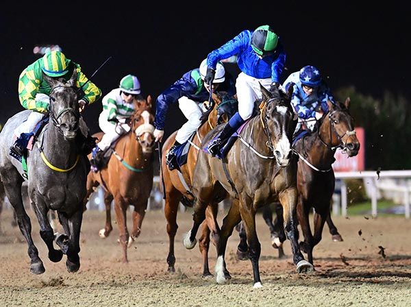 Just Another Eagle (blue) is ridden out by Robyn Donaghue-Leahy