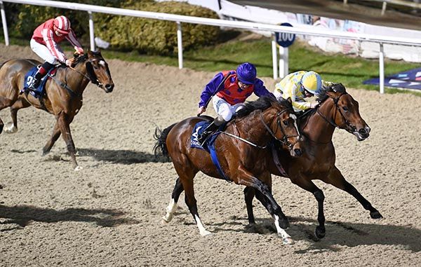 Spycraft and Declan McDonogh (far) wins from Nepal