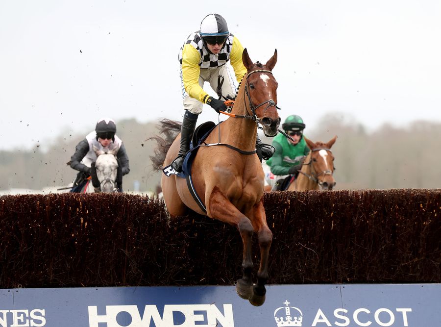 Jungle Boogie and Darragh O???Keeffe (yellow)  winning The Howden Graduation Chase for trainer Henry de BromheadAscot 21.12.24  Healy Racing