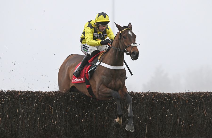 Sir Gino and Nico de Boinville