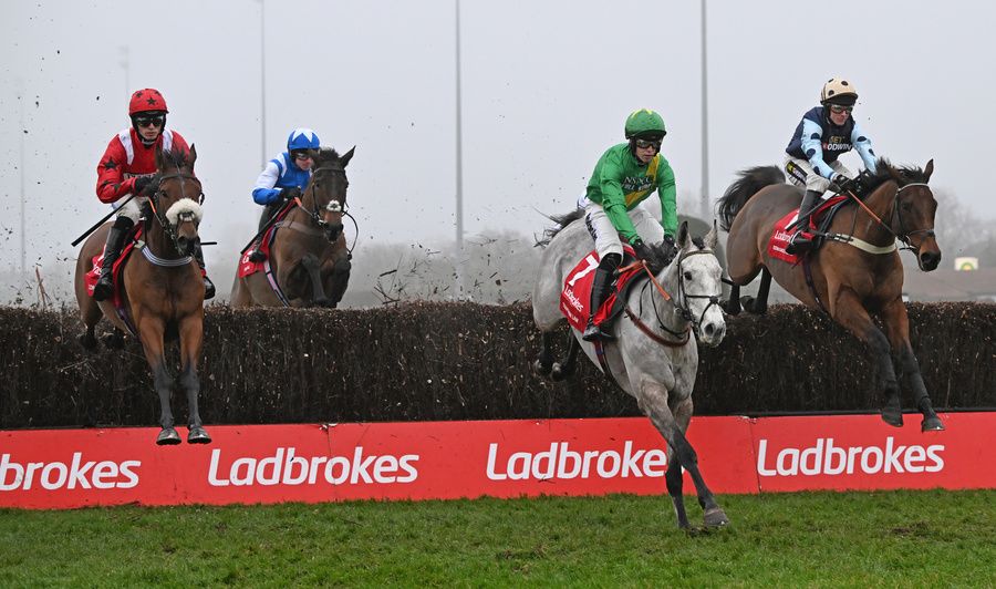 Soul Icon (red colours) winning at Kempton