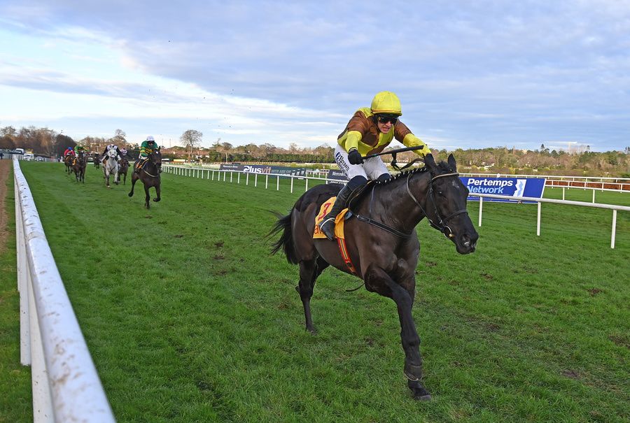 Leopardstown 28-December-2024 Savills Steeplechase (Grade 1)Galopin Des Champs and a jubilant Paul Townend win for owners Audray & Greg Turley and trainer Willie Mullins.Healy Racing