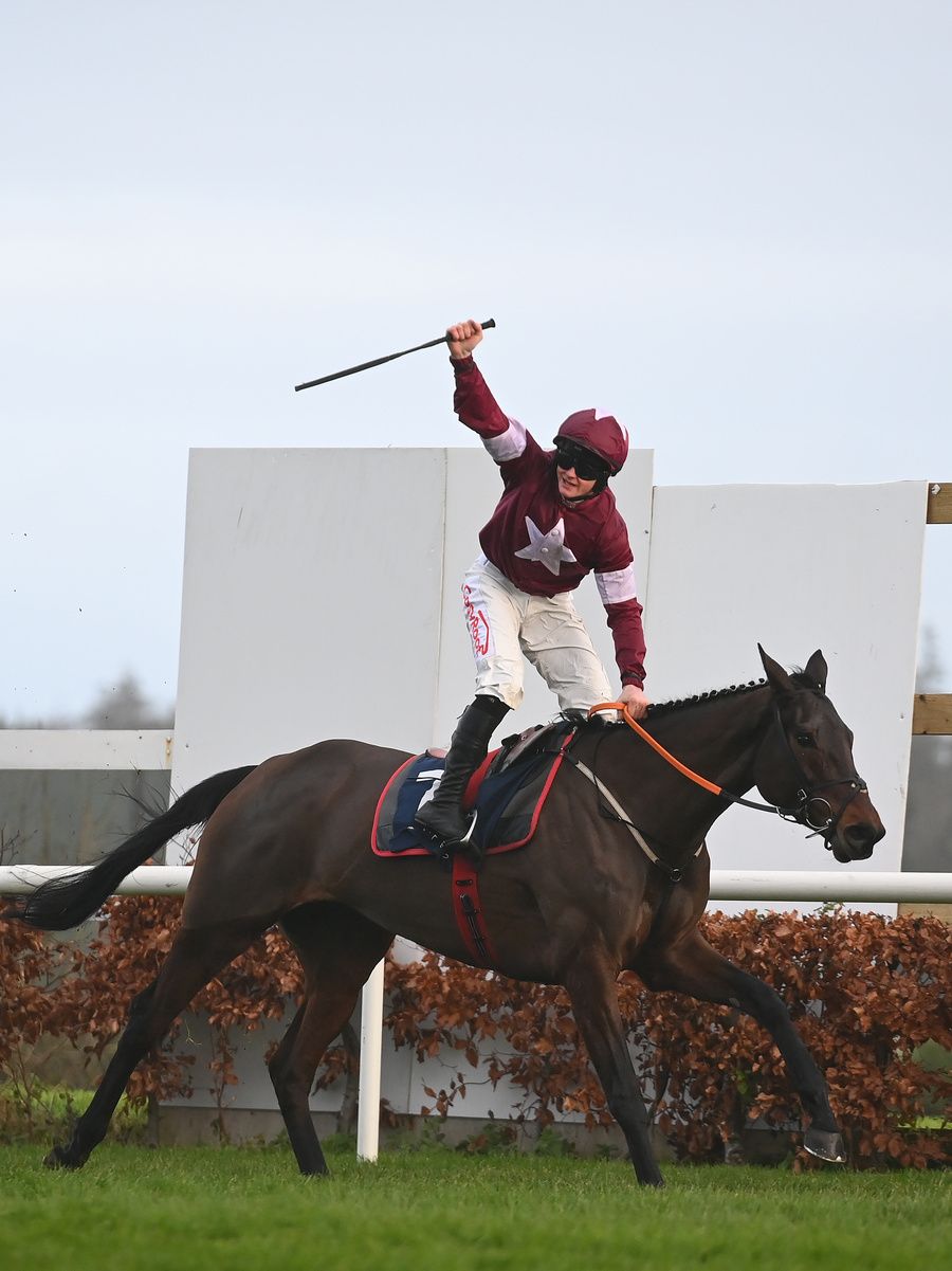 Brighterdaysahead will make her chasing debut in the coming weeks 