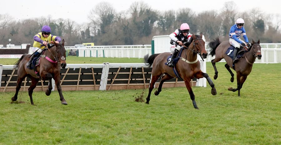 Nemean Lion (left) pictured winning at Windsor a year ago
