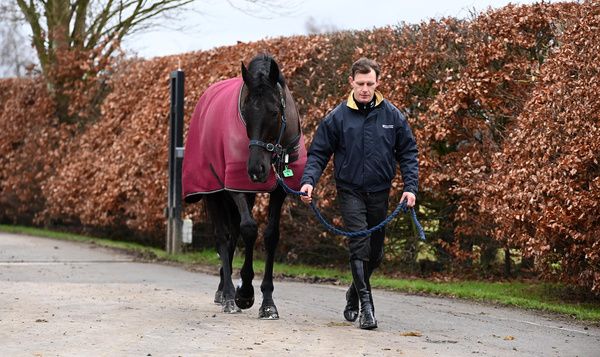 Galopin Des Champs and Paul Townend 
