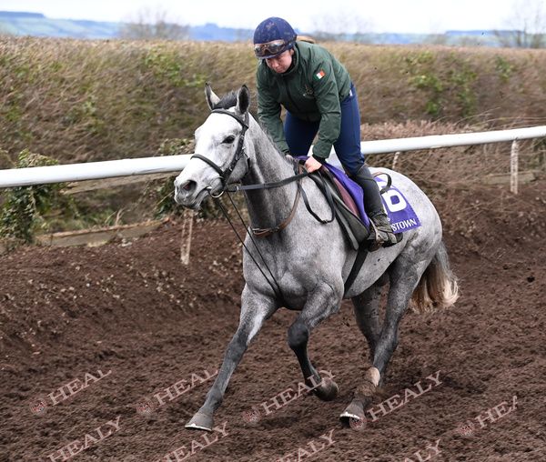 Lossiemouth and Niamh Roche on the gallops this morning