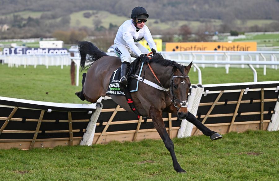 Cheltenham 25-January-2025 Unibet Hurdle (Grade 2)Constitution Hill and Nico de Boinville win for trainer Nicky Henderson.Healy Racing