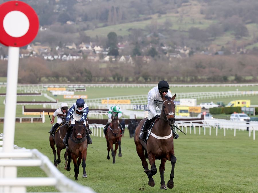 Constitution Hill and Nico de Boinville