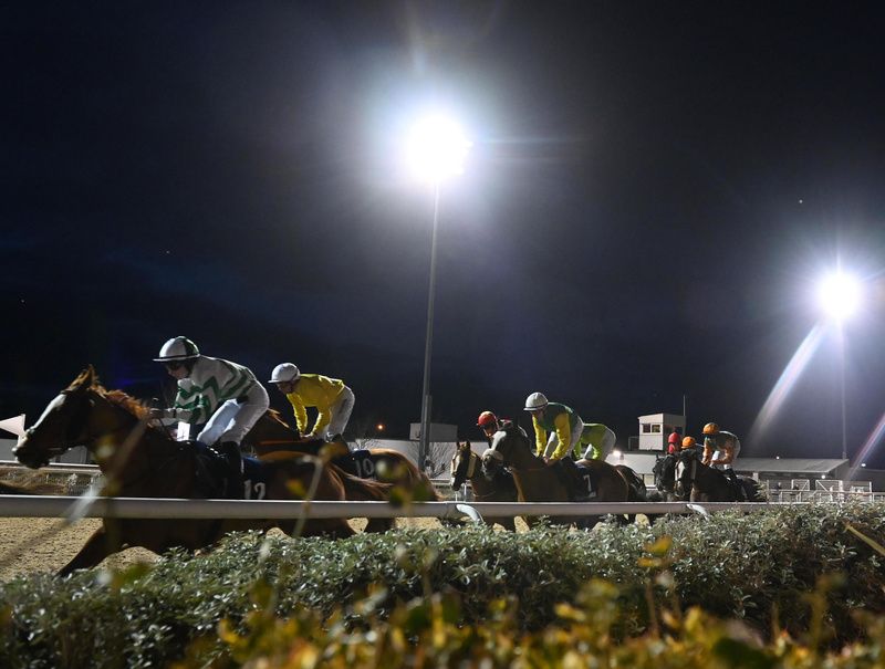 Friday Night Lights at Dundalk  