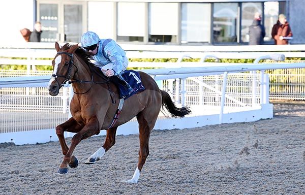 San Salvador and Declan McDonogh