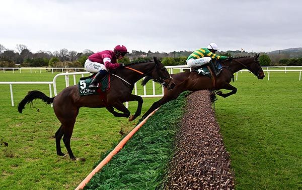 Leopardstown 1-2-25  Majborough & Mark Walsh (hoops) win the Grade 1 Goffs Irish Arkle Novice Steeplechase(Photo HEALY RACING)