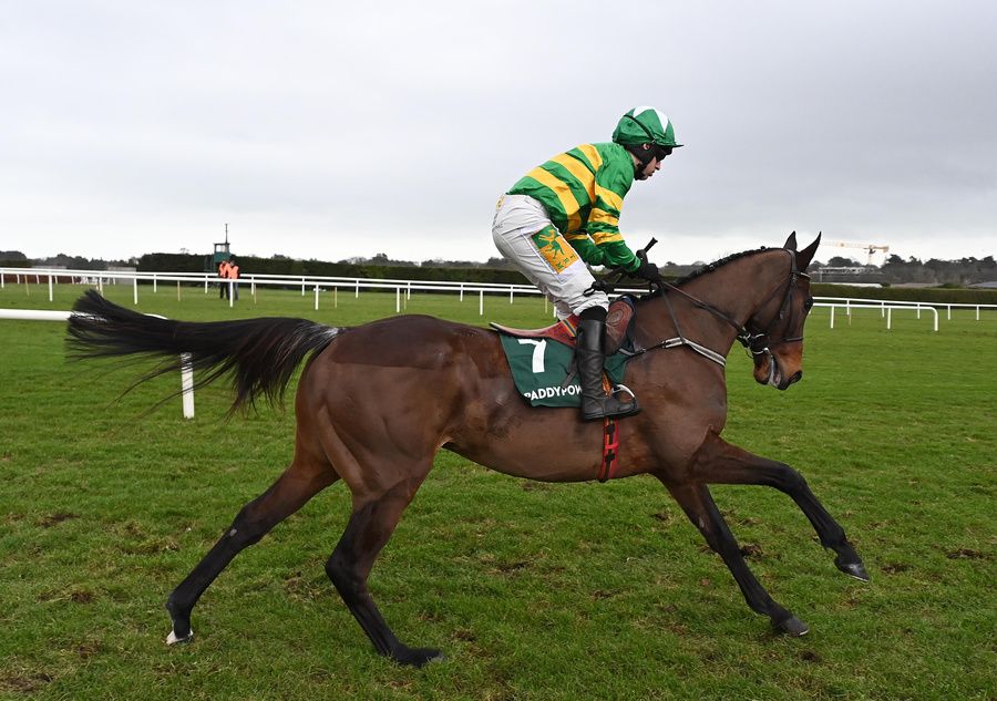 I Am Maximus returns to the fray in the Bobbyjo Chase 