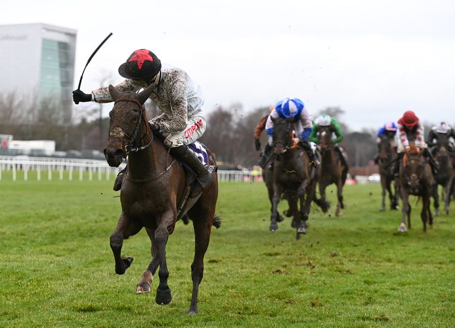 Vischio and Danny Mullins winning at the Dublin Racing Festival
