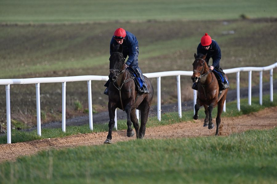 Stumptown (in front) on the gallops at Gavin Cromwell 's yard 
